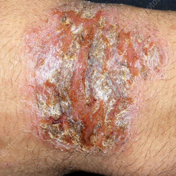 Screenshot 2025-01-22 at 4.21.59 PM